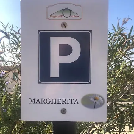 Poggio Dell'ortolano * Monsummano Terme